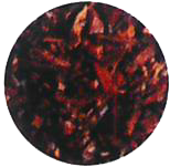 Rooibos