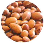 Huile d'argan